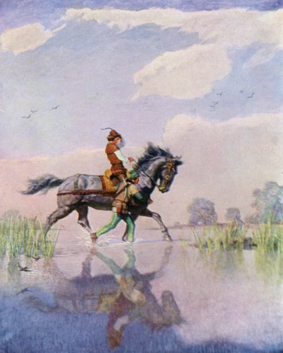 Illustration pour La Flèche noire de Robert Louis Stevenson - Newell Convers Wyeth